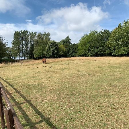 Static Mobile Home Set In Our 20 Acres Of Farmland Horspath Exteriör bild